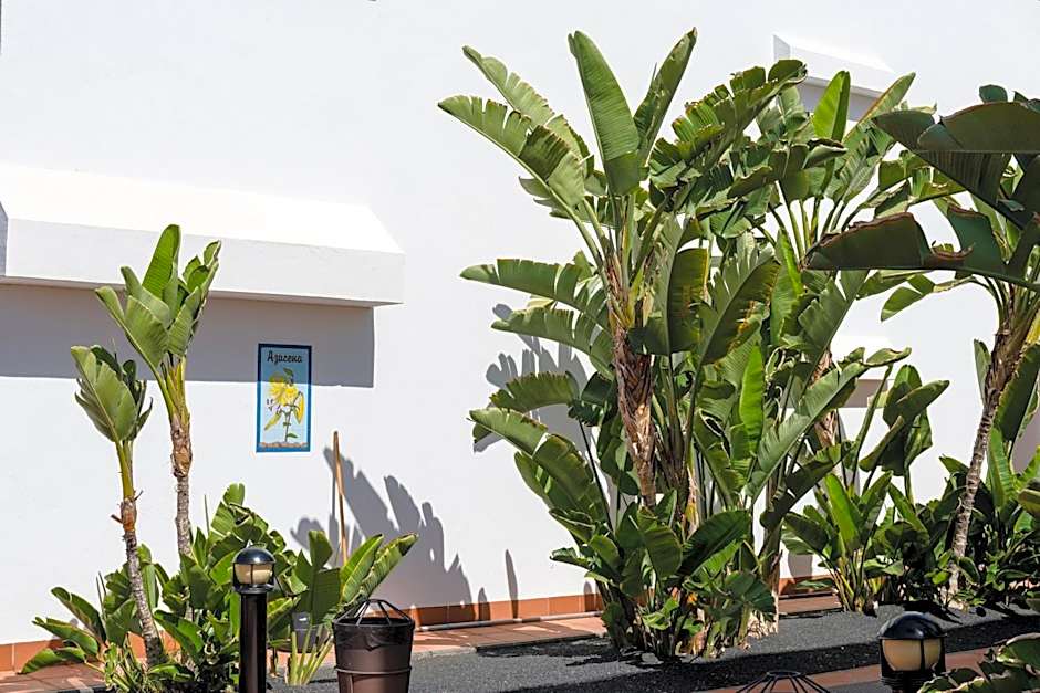 Plus Fariones Apartamentos