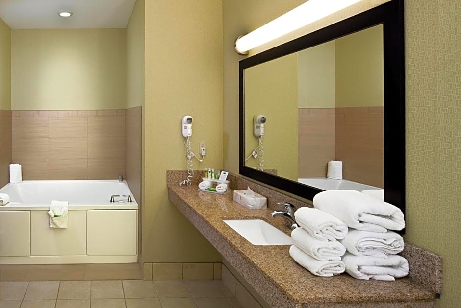 Holiday Inn Express Hotel & Suites Saginaw by IHG