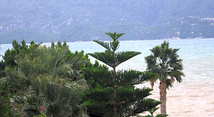 Almena Hotel