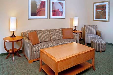 1 King Bed, 1 Bedroom Suite, Non-Smoking