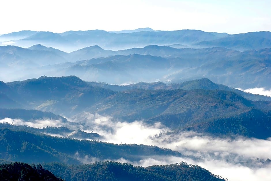 Tree of Life - Grand Oak Manor, Binsar Wildlife Sanctuary