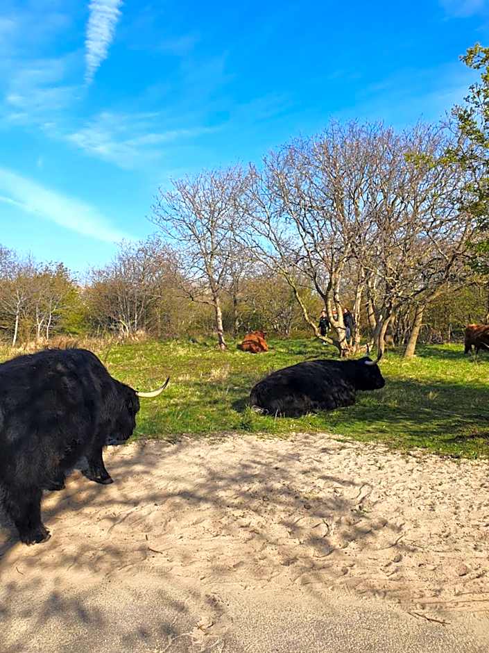 Scheveningen Sea Side