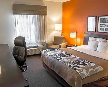 1 King Bed Nonsmoking