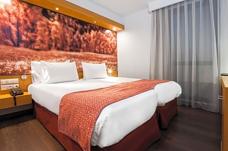 Double or twin room single use