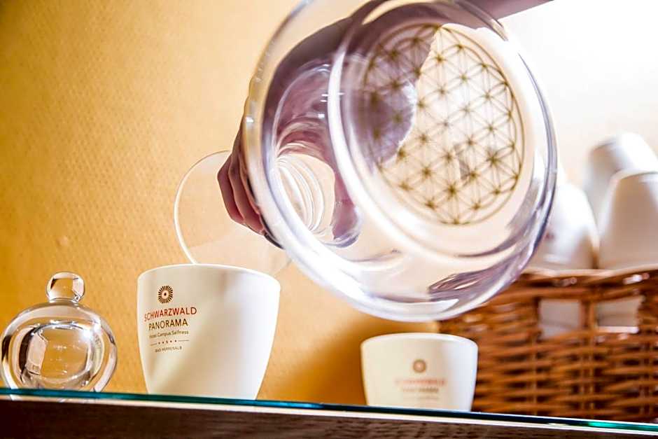 Schwarzwald Panorama