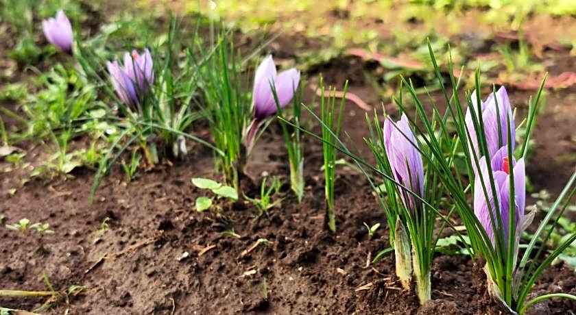 Bed And Breakfast "ANNA"