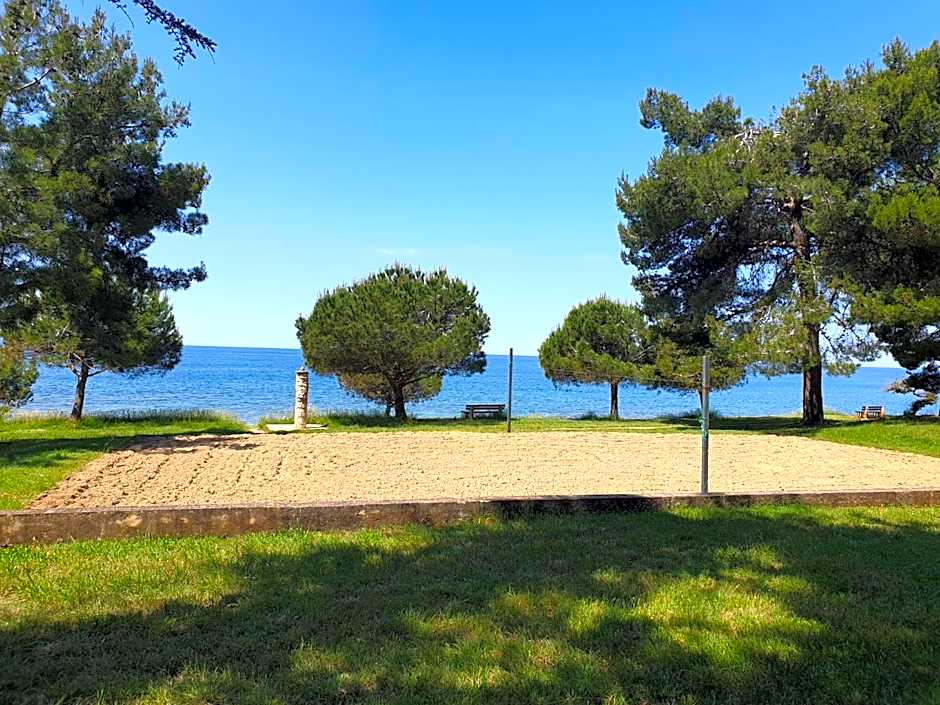 Family Bungalow Pineta