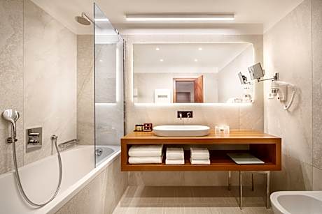 Comfort double room with park view