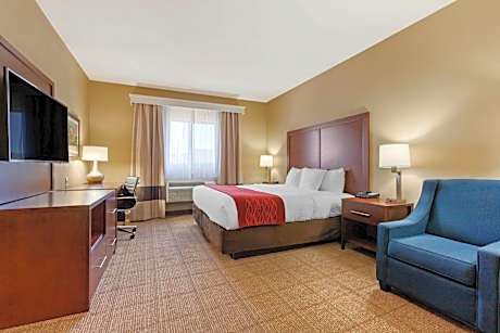 1 King Bed, Nonsmoking, Accessible