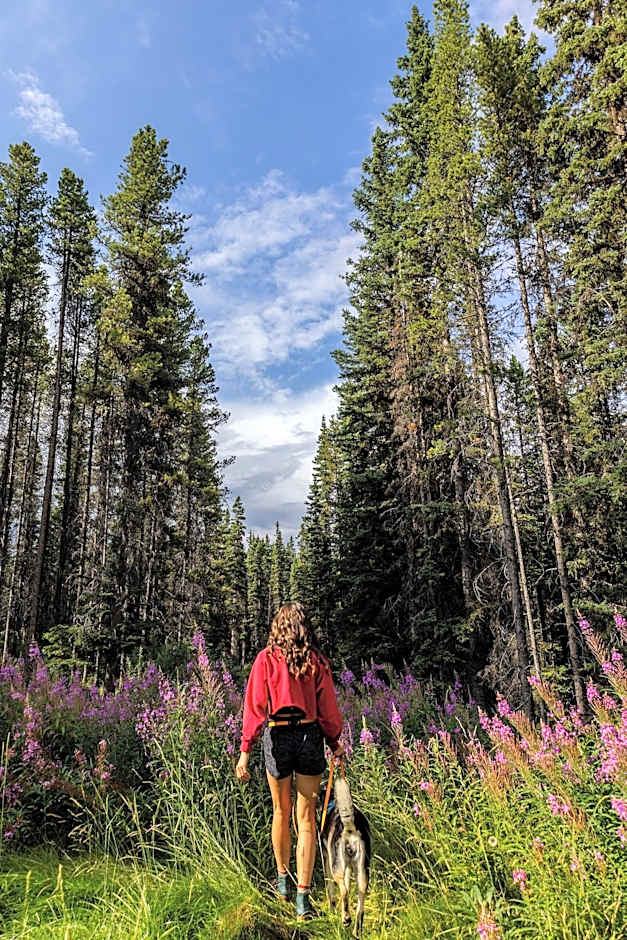 Storm Mountain Lodge Cabins Dining