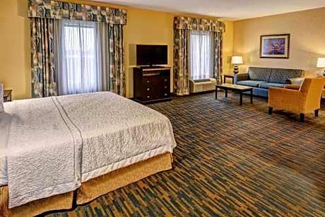 1 King Bed Study With Sofabed Nonsmoking