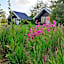 Lindvig - Ferie i naturen