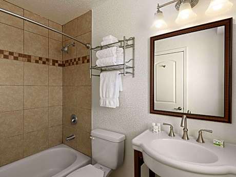 1 King Bed, Sofa Bed, 2-Bedroom Suite, Courtyard View, Non-Smoking
