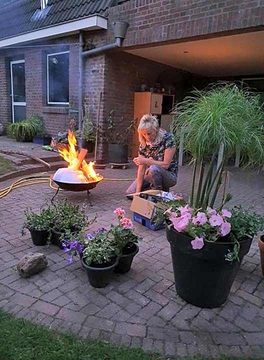De Vliegende Vlinder