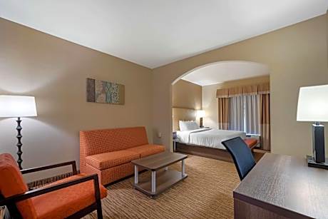 Suite-1 King Bed Non-Smoking Sofabed Sitting Area Desk Microwave And Refrigerator Wi-Fi Full Breakfa