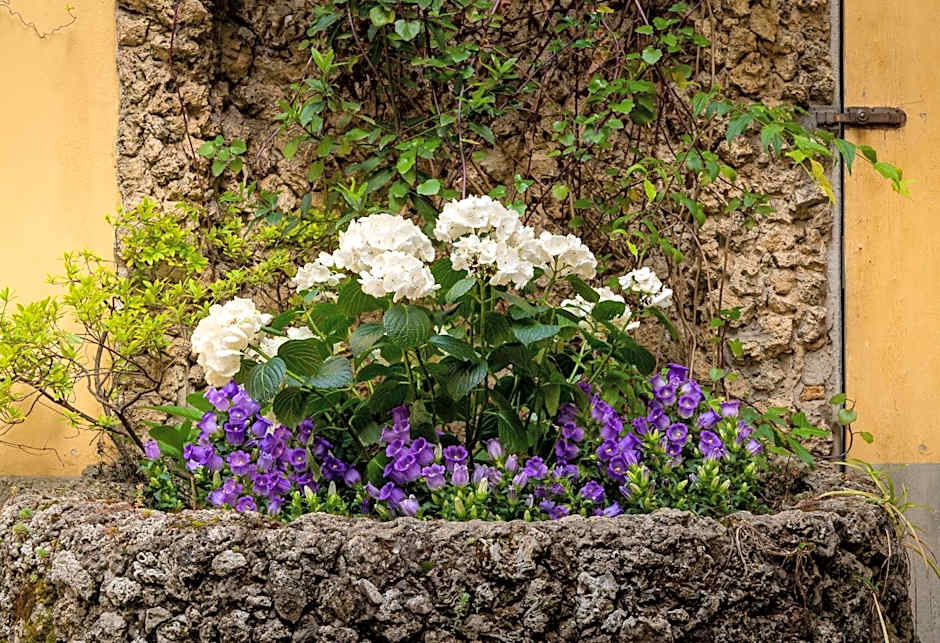 Residenza Il Villino B&B