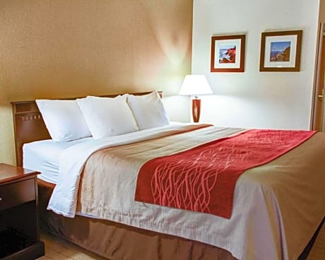 1 King Bed, Nonsmoking