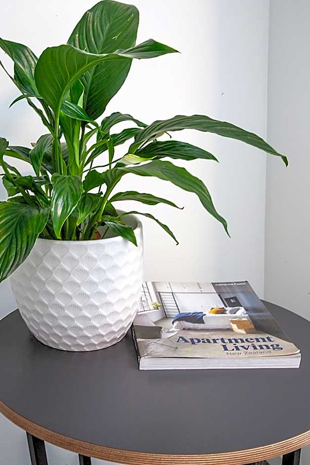 Sojourn Apartment Hotel - Riddiford