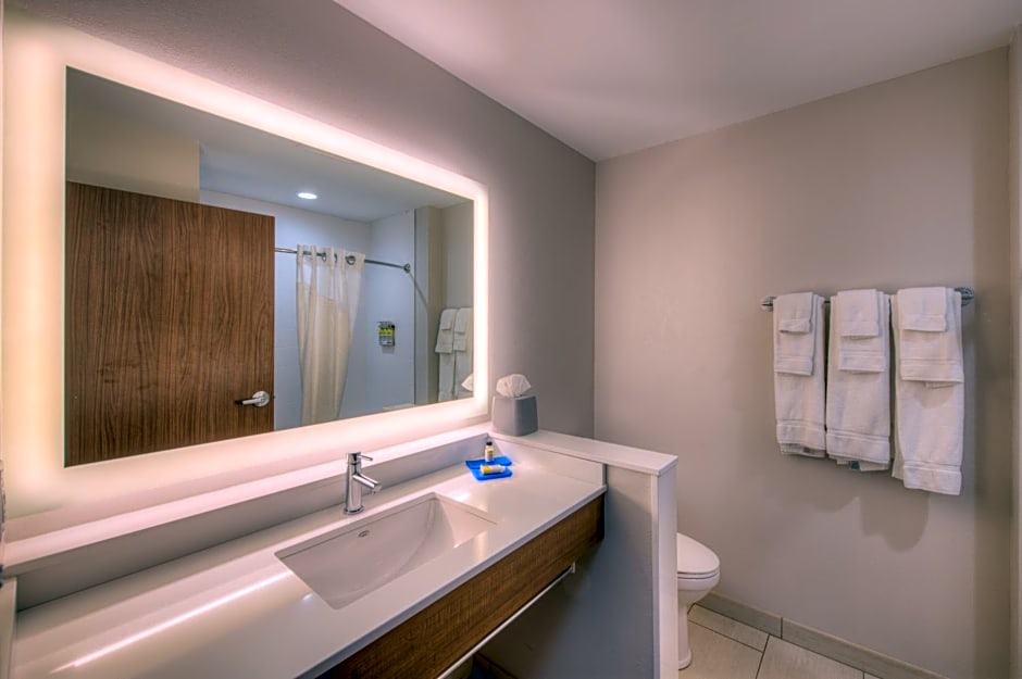 Holiday Inn Express and Suites Remington By IHG