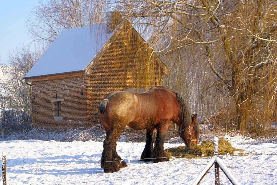 B&B De Metstermolen