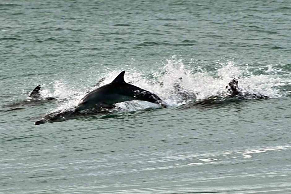 Shaloha Guesthouse on Supertubes