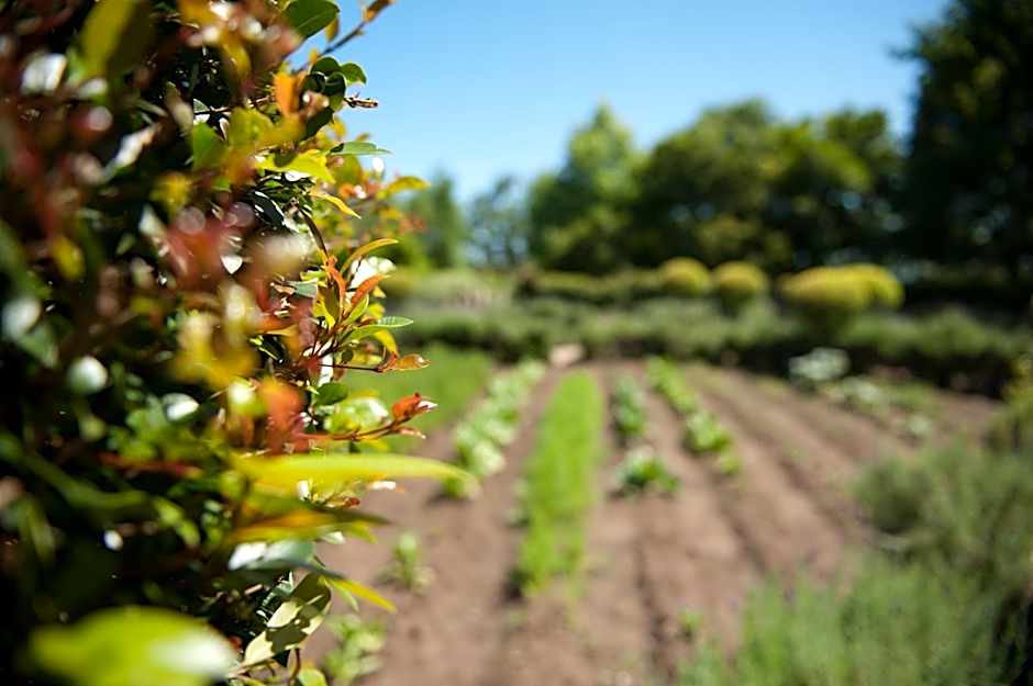 ArendsRus Country Resort