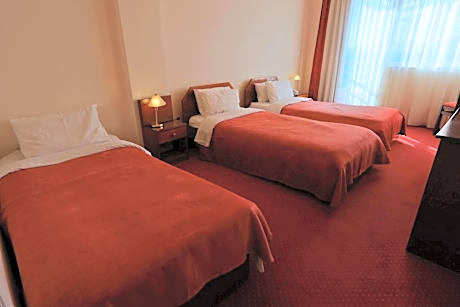 Triple Room with City View