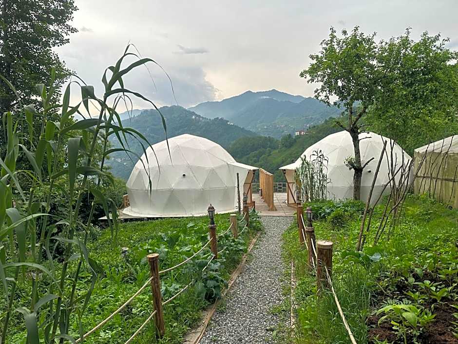 LİMKHONA DOME - CHALET