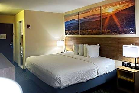 King Room - Non-Smoking