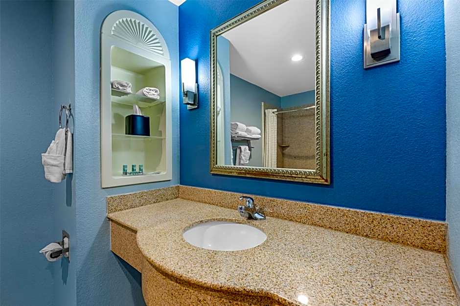 Best Western South Plains Inn & Suites