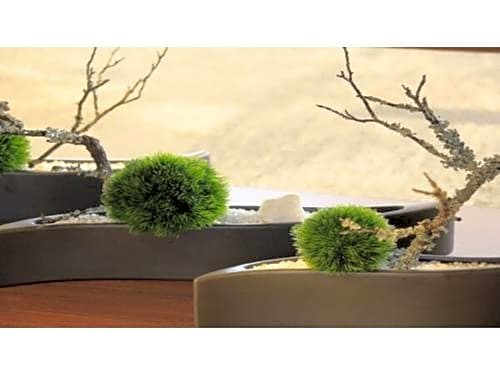 Richmond Hotel Premier Tokyo Oshiage - Vacation STAY 38415v