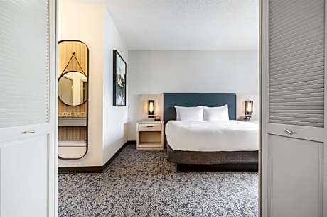 One-Bedroom King Suite with Sofa Bed - Non-Smoking