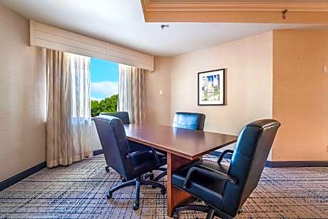 King Room with Sofa Bed and Conference Table
