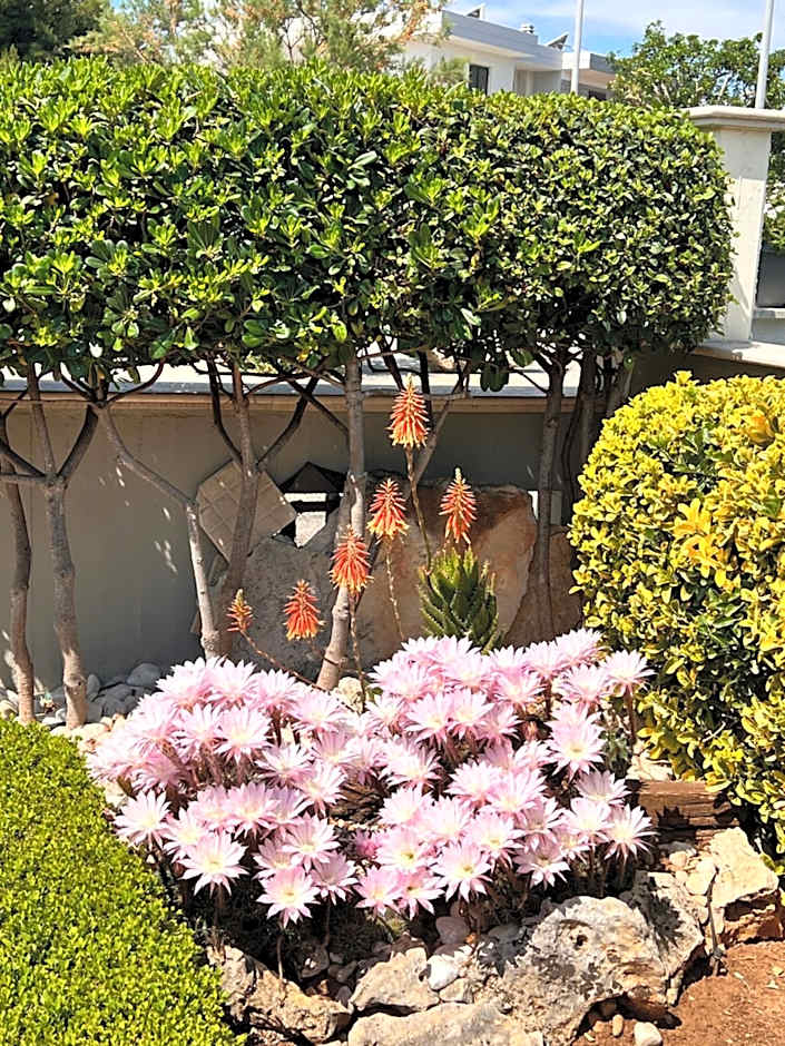 B&B La Rosa Blu