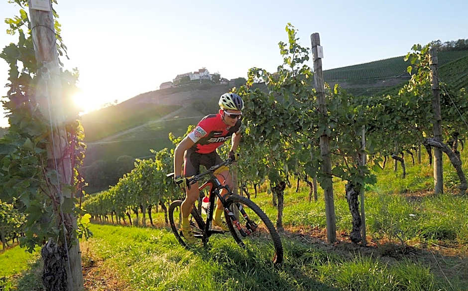 Hotel Rebstock Durbach