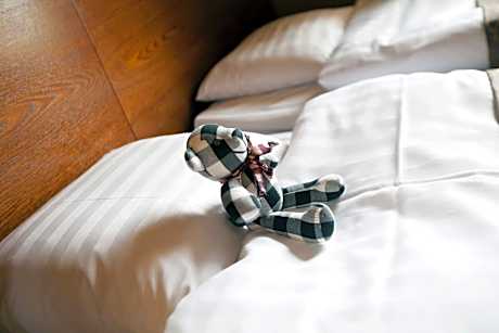 Standard Single Room with Sauna