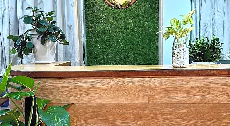 Town Inn Hotel - Rainforest