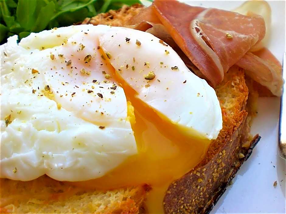 Tree of Life Art Hotel