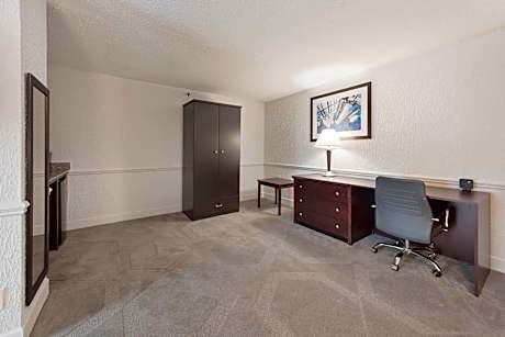 King Suite - Accessible/Non-Smoking