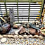 Business Hotel Goi Onsen - Vacation STAY 78219v