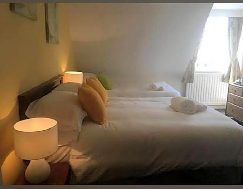 swan hotel resturant bar and grill