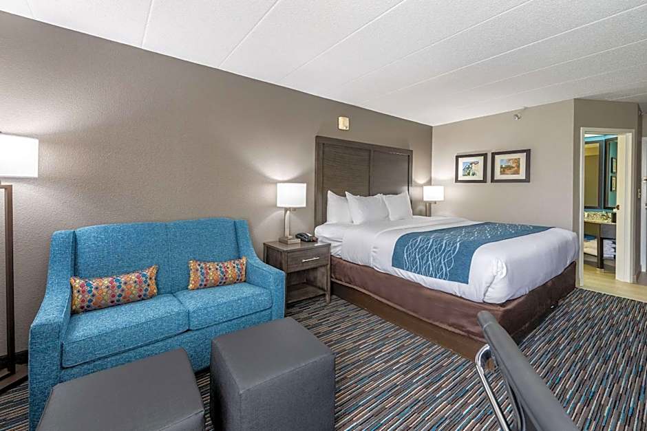 Comfort Inn Chicago Schaumburg - O'Hare Airport