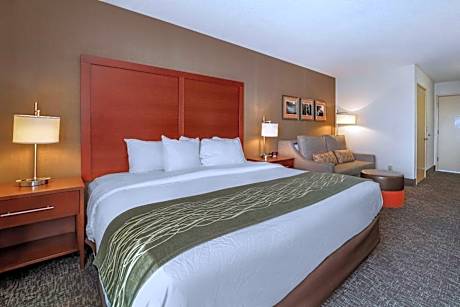 King Room - Non-Smoking