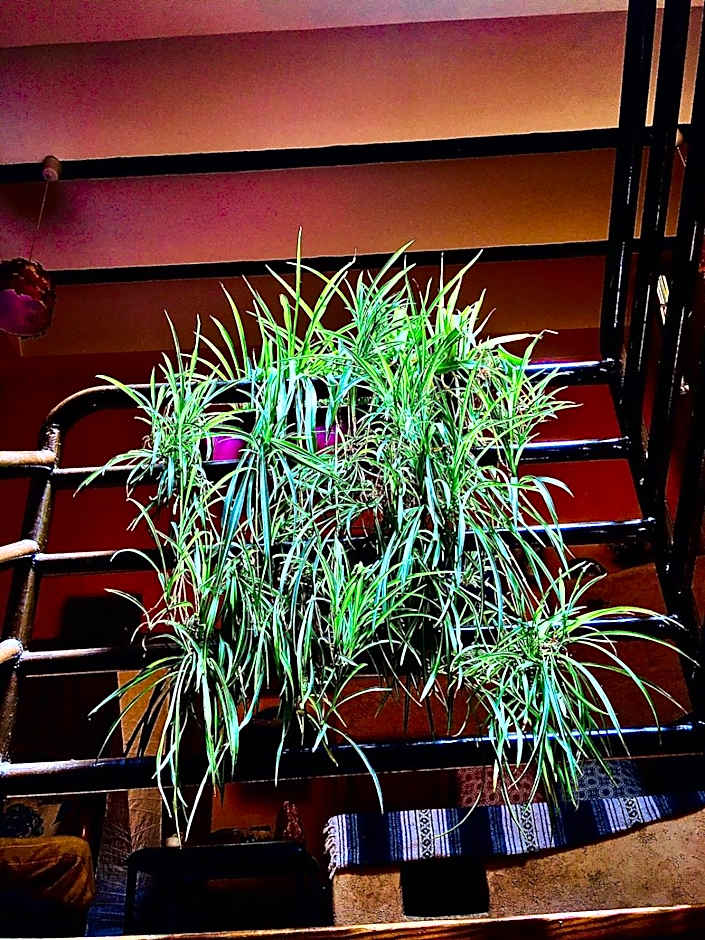 Las Huellas de Cameros