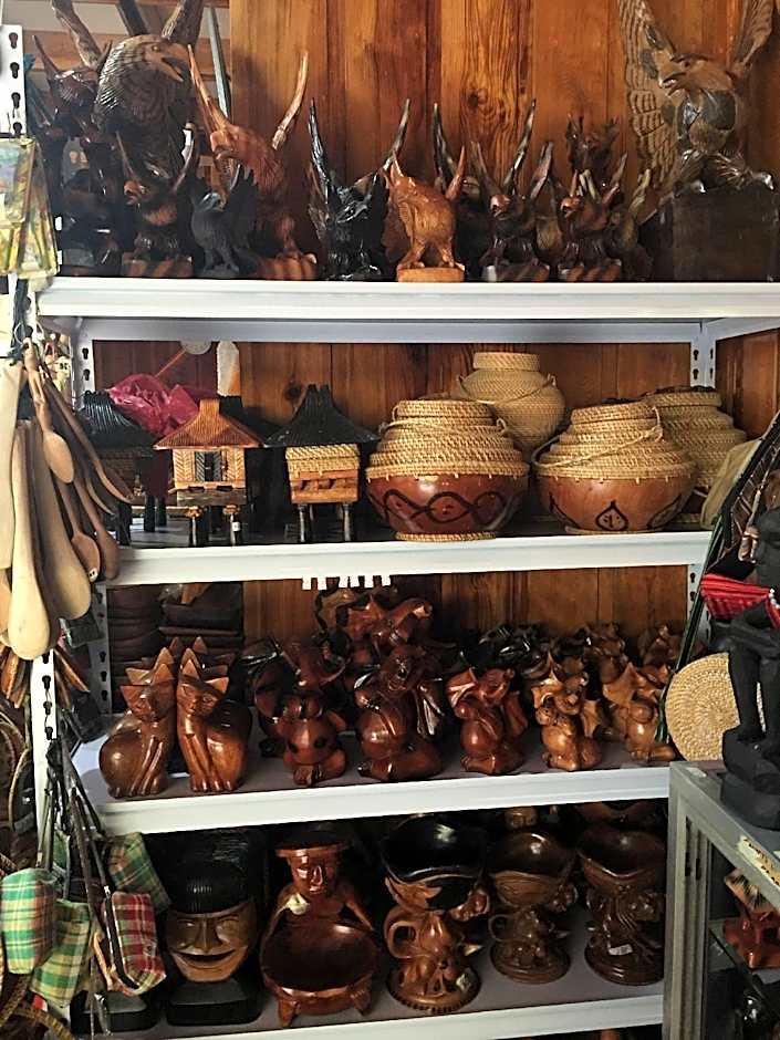 Uyami's Green View Lodge