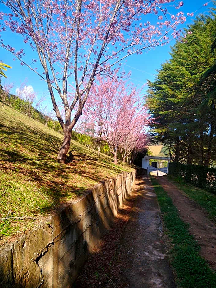 Recanto das Videiras