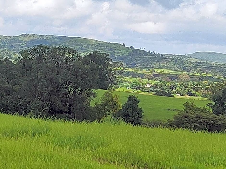 Club Shandilya-A Cheerful 3 BR Place in Nature lap