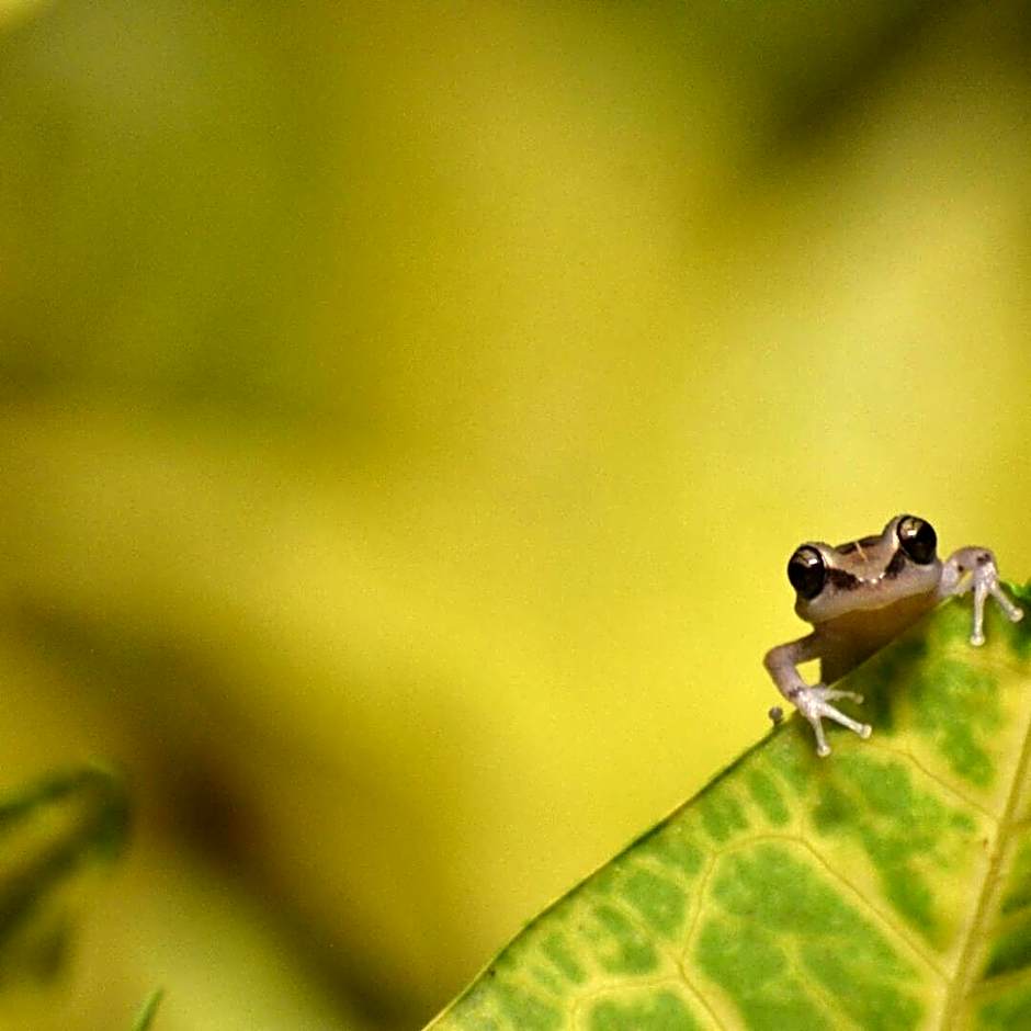 Rêve Et Alizé - Gites de charme