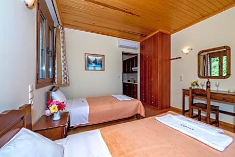 Deluxe Double or Twin Room with Balcony