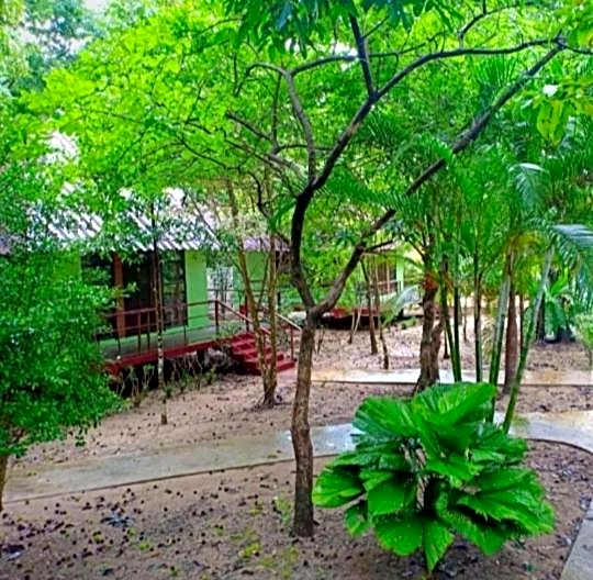 Khao Sok River & Jungle Bungalow